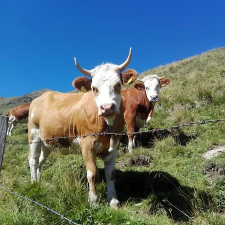 Daire Bichlerhof Hopfgarten in Defereggen