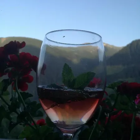 Διαμέρισμα Bichlerhof Hopfgarten in Defereggen