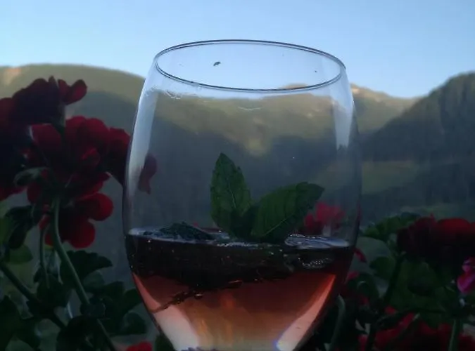 Daire Bichlerhof Hopfgarten in Defereggen