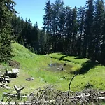 Apartament Bichlerhof *